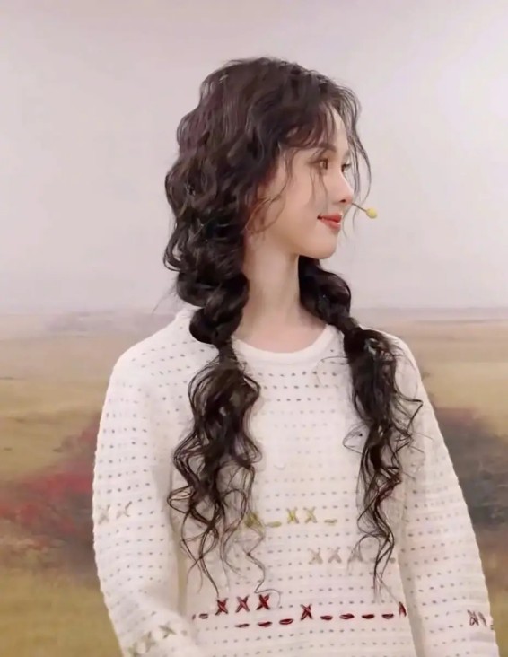 汽车芯片的预制菜陷阱