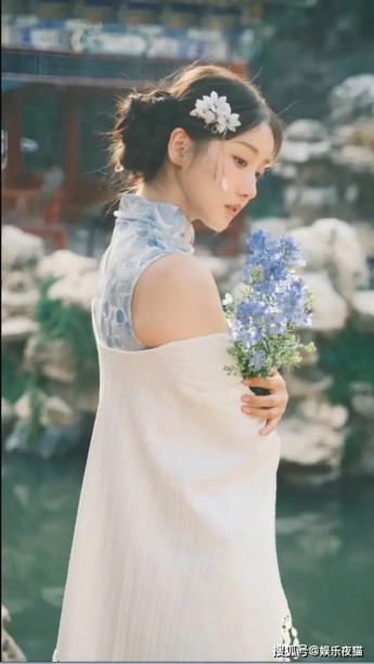 英伟达,股价再创历史新高